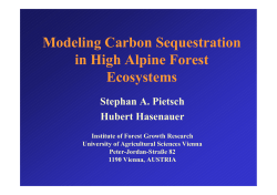 Modeling Carbon Sequestration in High Alpine Forest