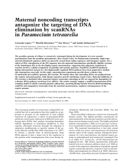 Maternal noncoding transcripts antagonize the targeting of