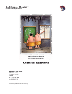 G10 Science Chemical Reactions