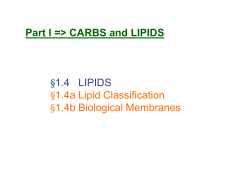 Lipids