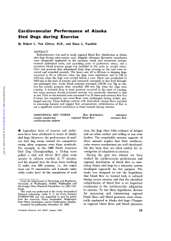 Cardiovascular Performance of Alaska Sled Dogs during Exercise