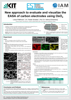 Investigations of the solid electrolyte interface layer stained