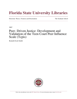Peer- Driven Justice: Development and Validation of the