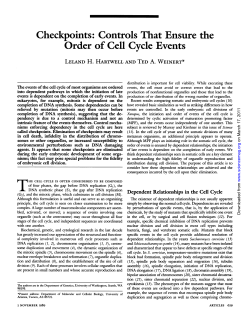 Checkpoints: Controls That Ensure the Order of Cell Cycle Events