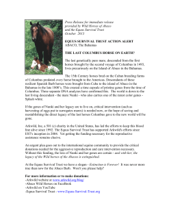 Press Release for immediate release provided by Wild Horses of