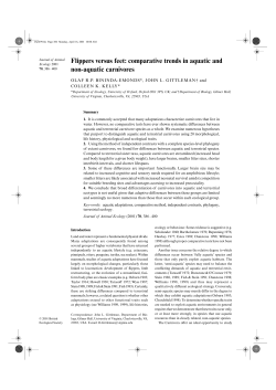 Flippers versus feet: comparative trends in aquatic and non