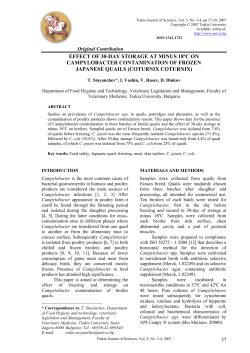 effect of 30-day storage at minus 18&ordm;c on campylobacter