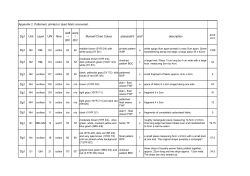 Appendix 2. Patterned, printed or dyed fabric recovered. Dg1 Unit