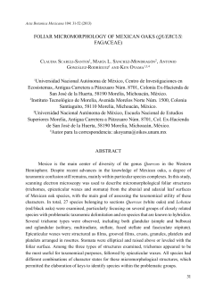 Foliar micromorphology of mexican oaks (Quercus: Fagaceae)