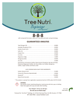 Beginnings - Tree Nutri