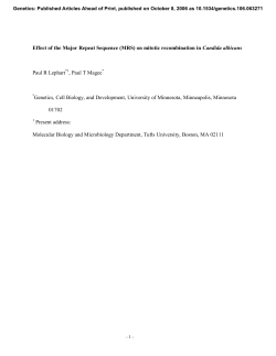 Effect of the Major Repeat Sequence (MRS) on mitotic