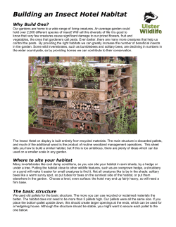 Building an Insect Hotel Habitat