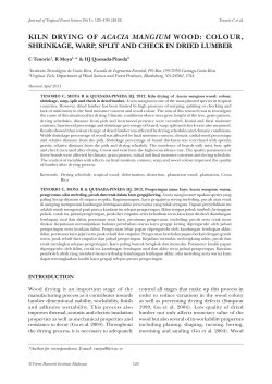 kiln drying of acacia mangium wood