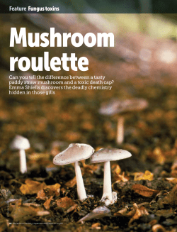 Feature Fungus toxins - Royal Society of Chemistry