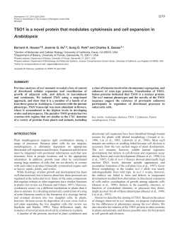 Cloning of TSO1 - Development