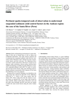 Pertinent spatio-temporal scale of observation to understand