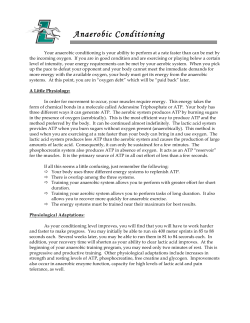 Anaerobic Conditioning