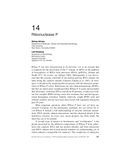 Ribonuclease P - RNA World - Cold Spring Harbor Laboratory