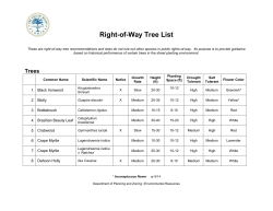Acceptable Right of Way Trees