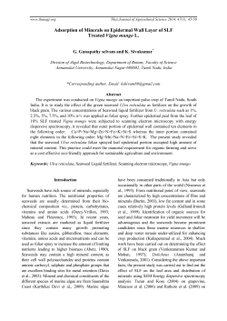 Cultivation of the Hydrocarbon-Rich Alga