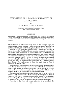 occurrence of a tabular halloysite in a texas soil