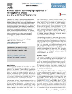 Nuclear bodies: the emerging biophysics of nucleoplasmic phases