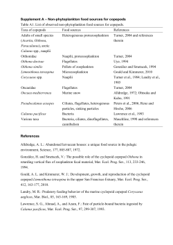 Supplement A &ndash; Non-phytoplankton food sources for copepods