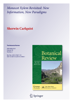 Monocot Xylem Revisited: New Information, New