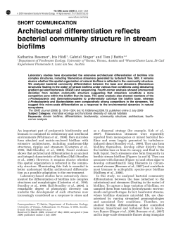 Architectural differentiation reflects bacterial community