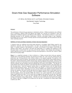 Down-Hole Gas Separator Performance Simulation Software