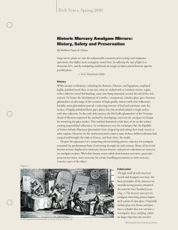 Historic Mercury Amalgam Mirrors: History, Safety and Preservation