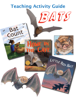 Teaching Activity Guide