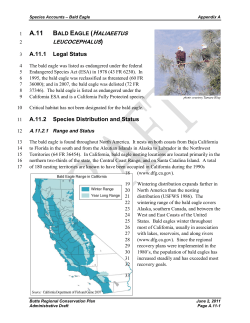 A11. Bald Eagle - Butte Regional Conservation Plan