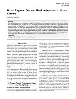 Urban Raptors: Owl and Hawk Adaptation to