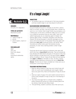 0.2 It`s a Fungal Jungle