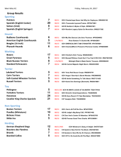 Friday - Foy Trent Dog Shows