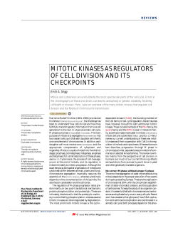 mitotic kinases as regulators of cell division and