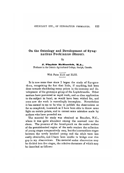 On the Osteology and Development of Syng