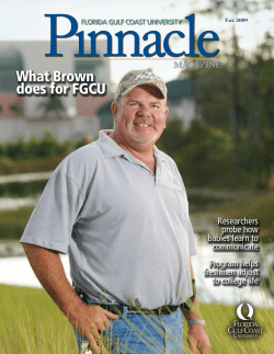 Pinnacle Fall 2009 - Florida Gulf Coast University