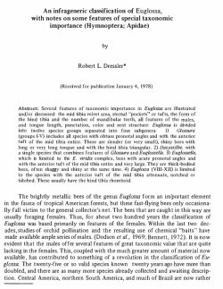 An infrageneric classification of Euglossa, with notes on sorne