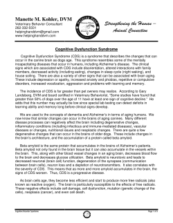 Strengthening the Human Animal Connection Strengthening the