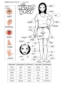 COMMUNICATION SKILLS 2 27/10/14 The 5 senses: