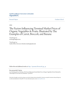 The Factors Influencing Terminal Market Prices of