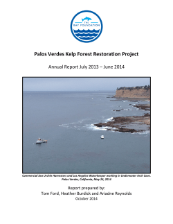 Palos Verdes Kelp Forest Restoration Project