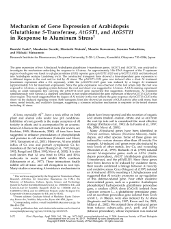 Mechanism of Gene Expression of Arabidopsis
