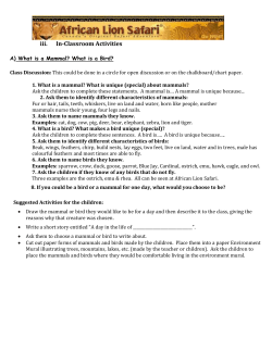5049In classroom activities