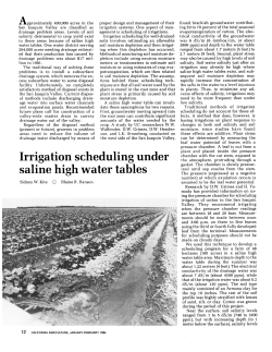 Irrigation scheduling under saline high water tables