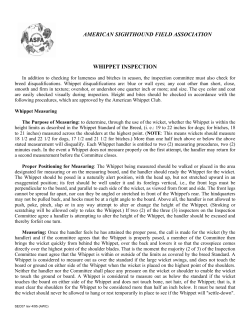 whippet measurement - American Sighthound Field Association, ASFA