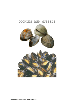 cockles and mussels - Cursos Homologados