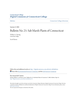 Bulletin No. 25: Salt Marsh Plants of Connecticut